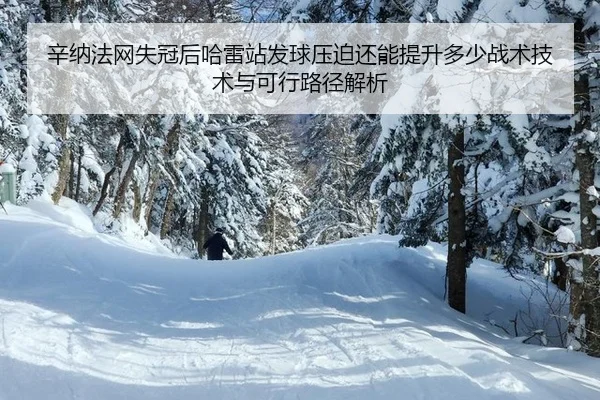 辛纳法网失冠后哈雷站发球压迫还能提升多少战术技术与可行路径解析